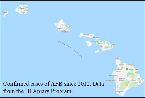 AFB map